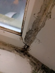 how do you fix window mastic?