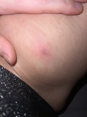 What do we think will come of this? Hopeful sporner, pics included