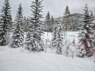 The Nigel Slater Christmas Chronicles Readalong 2024 Part 3