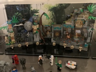 To show me your Lego collection?
