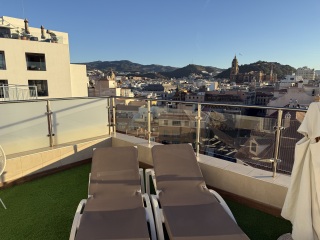 Ring Out, Wild Bells! As 2025 approaches, the Excellent Cats raise their game with a discussion on Tennyson's poetry