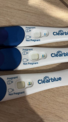 Clear blue test. Evap line or positive