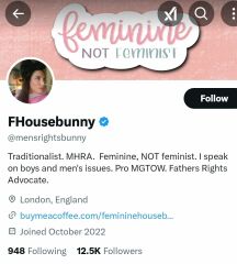 Boyfriend following "Anti feminist" women on Instagram and twitter
