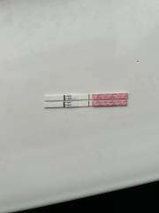 10dpo.. could these be positive?