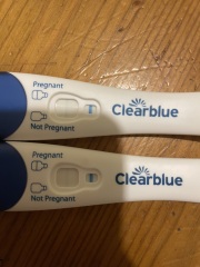 Clear blue test. Evap line or positive
