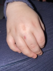 anyone know what this is?