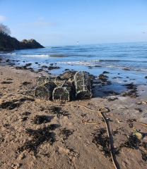 Mounjuro August starters - thread 11