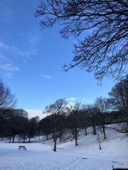 Has anyone got snow yet?