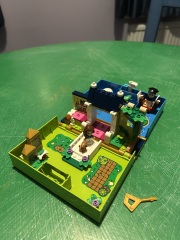 To show me your Lego collection?
