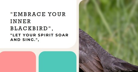 The Bluestocking: the one where AI finally learns what a blackbird is (we hope)