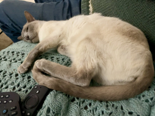 Thread 17: Starmer: Treading softly.