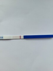 January TTC Support Group 💚