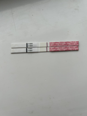 10dpo.. could these be positive?