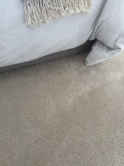Stain Remover Stained My Carpet