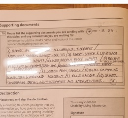 DLA tips.... just my ideas, but worked for us!