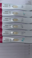 Please help I’m terrified!