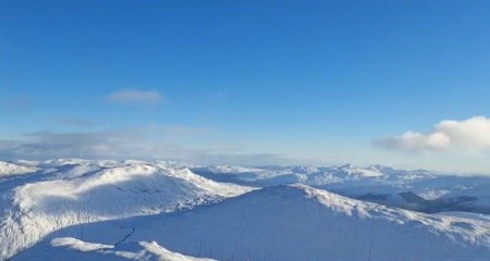 ⭐️LOSE IT! January 2025. Revive & Thrive⭐️