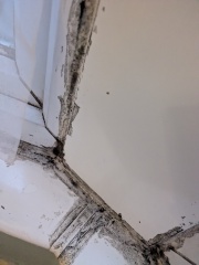 how do you fix window mastic?
