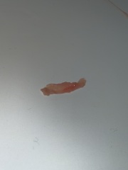 Anyone have any idea what this is?