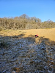 The Nigel Slater Christmas Chronicles Readalong 2024 Part 3