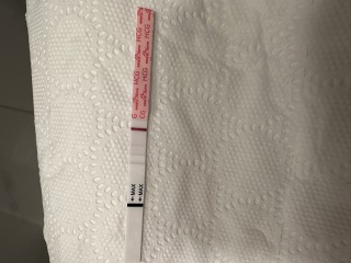 11dpo, not fmu but during the day, what do you all think?