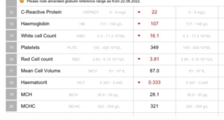 Do these blood test results mean I might have an infection?
