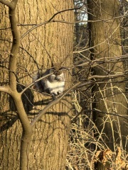 The Nigel Slater Christmas Chronicles Readalong 2024 Part 3