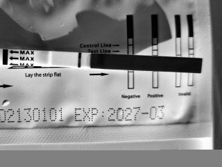 Friendly/supportive/sensitive thread 🌱