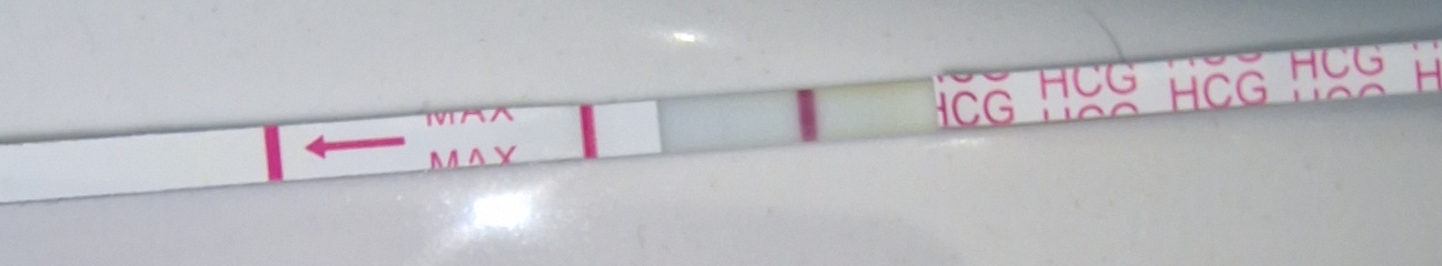 January TTC Support Group 💚