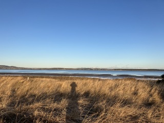 Running goals, motivation and chat 2025