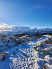 Mounjuro August starters - thread 10 !!!!