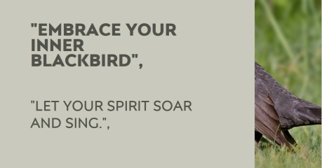 The Bluestocking: the one where AI finally learns what a blackbird is (we hope)