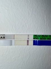 Faint positive or evap lines?