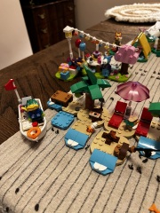 To show me your Lego collection?