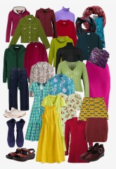 No/low buy 2025 shop from wardrobe