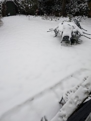 Ring Out, Wild Bells! As 2025 approaches, the Excellent Cats raise their game with a discussion on Tennyson's poetry