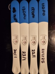 Pregnancy test line progression