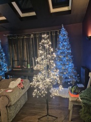 The Christmas trees in next window.