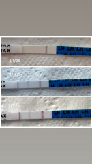 Anxious overthinker hoping to connect with your wealth of knowledge and positive attitudes.