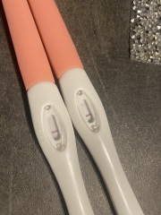 Pregnancy