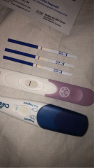 Clear blue test. Evap line or positive