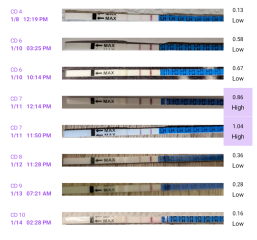 12 days late, BFN, positive opk
