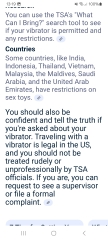 Is it disrespectful/problematic to take a sex toy in hand luggage to Marrakech?