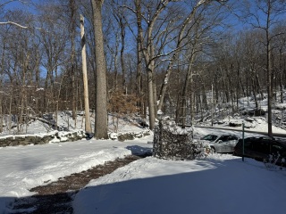 Come and tell us your dull and unexciting news 32: Calmly through the day