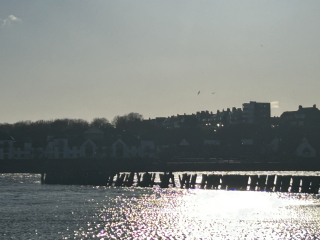 The Nigel Slater Christmas Chronicles Readalong 2024 Part 3