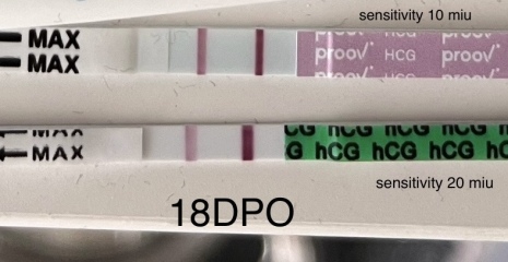 Confused about lines on hcg test?!
