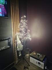 The Christmas trees in next window.