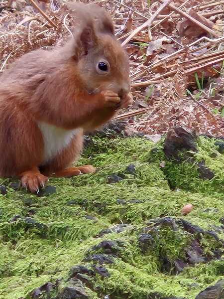 Any Witches here? Part 20