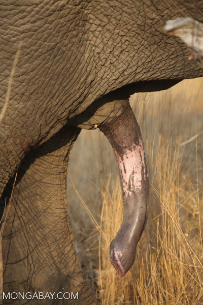 Mounjuro August  thread 12