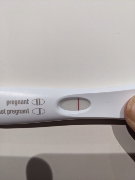 February/March FET